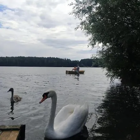 別荘 Wrzosowe Wzgorze - Wiejski *