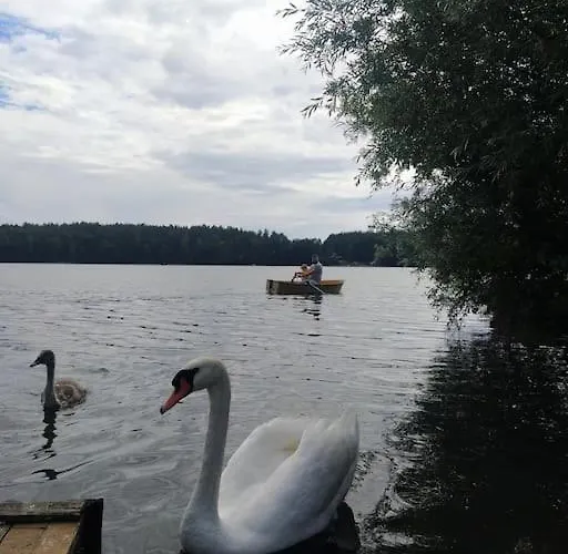 Semesterbostad Wrzosowe Wzgorze - Wiejski *