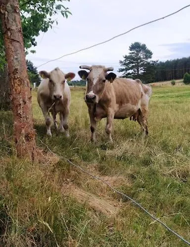 Semesterbostad Wrzosowe Wzgorze - Wiejski